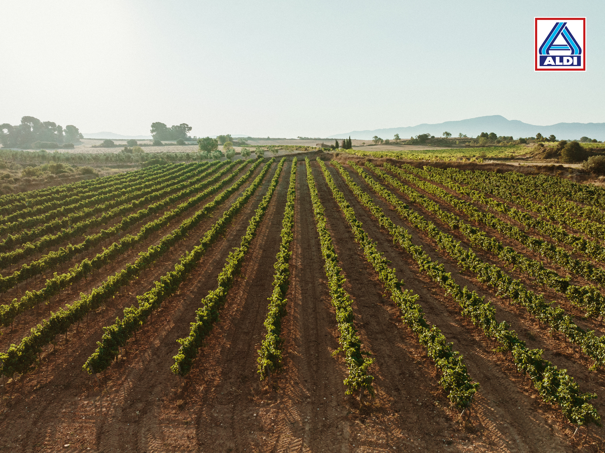 Aldi lanza una iniciativa para concienciar sobre el impacto del cambio climático en los alimentos