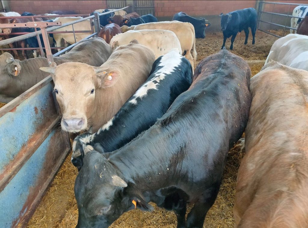 Crean una calculadora de las emisiones de metano en las explotaciones