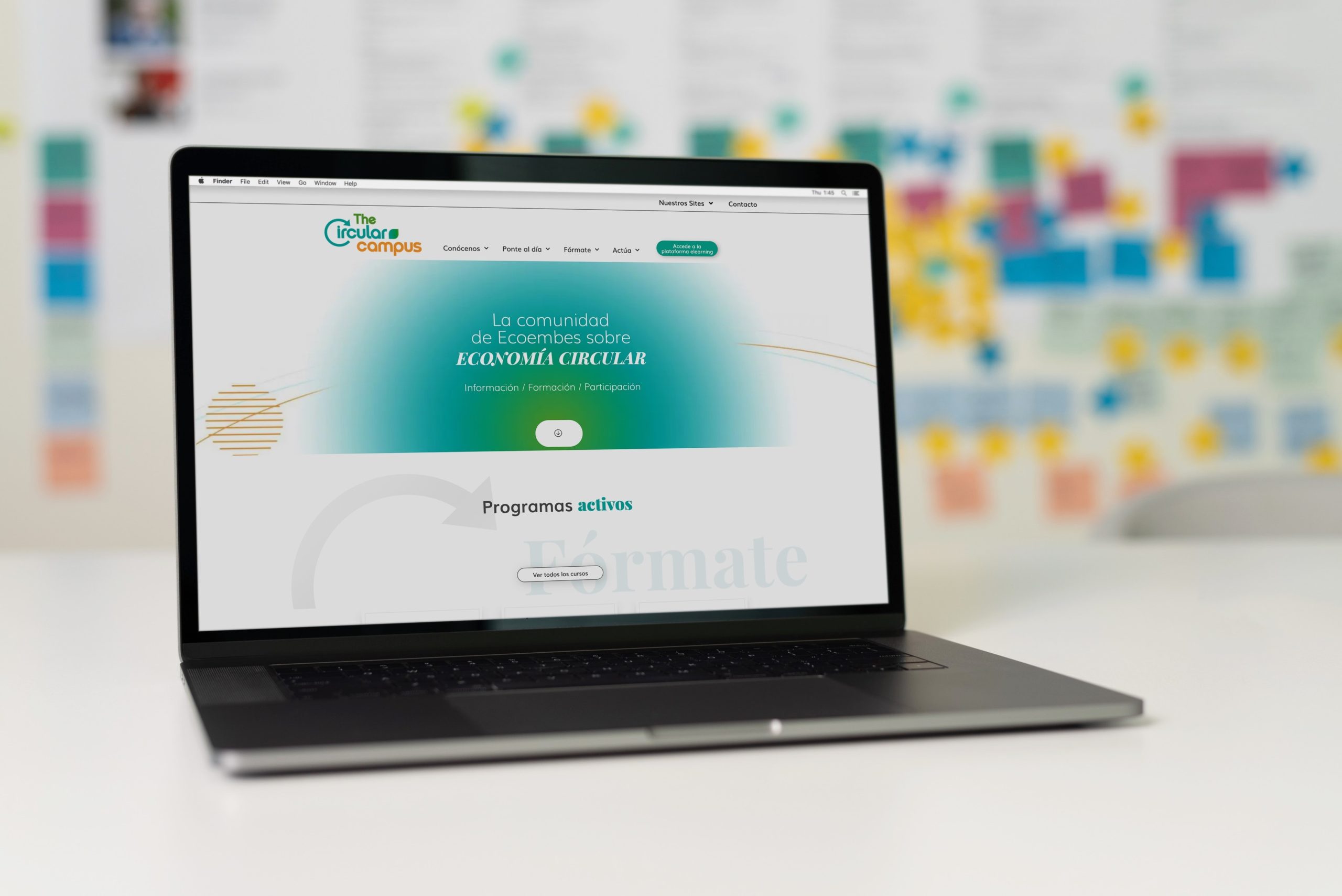 TheCircularCampus es el espacio de conocimiento y formación de Ecoembes para que las empresas que integran la organización se formen en economía circular