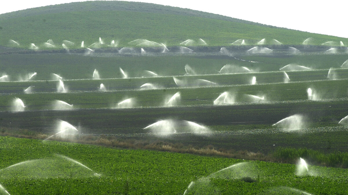Cada vez hay más regadío sobre dimensionado en España según Greenpeace