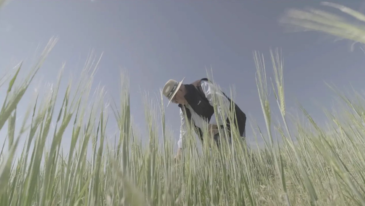 Heineken España y Fertiberia fertilizantes bajos en carbono
