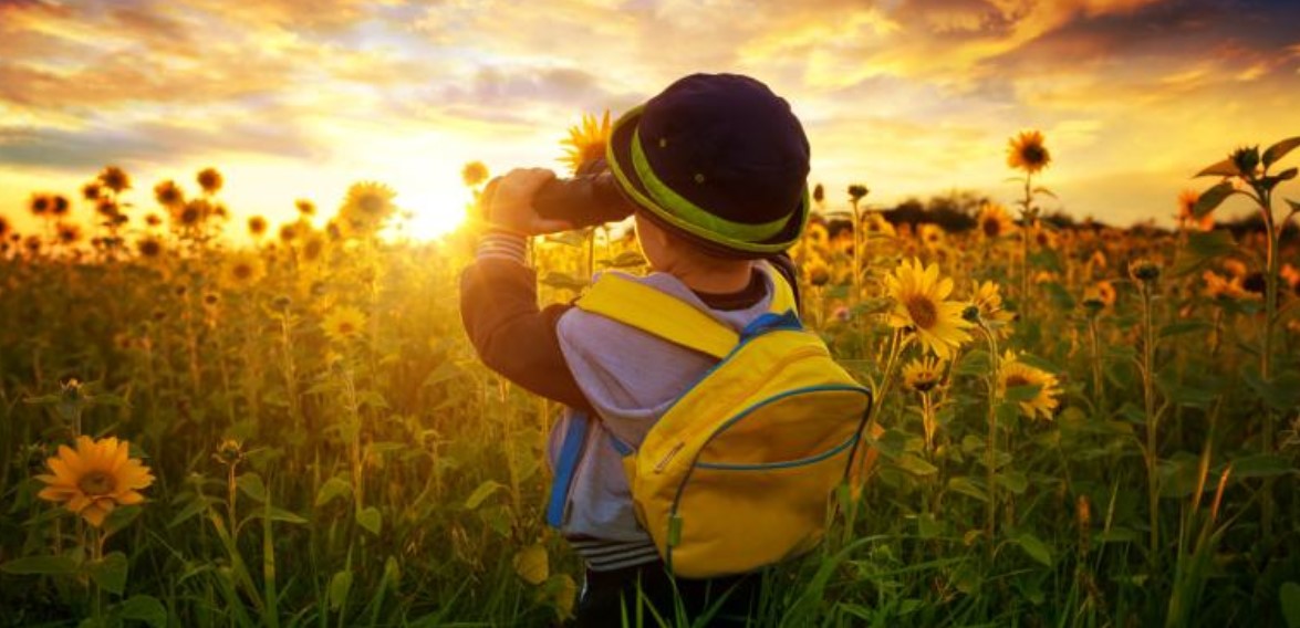 Red Eléctrica solar fotovoltaica produce más que en 2022