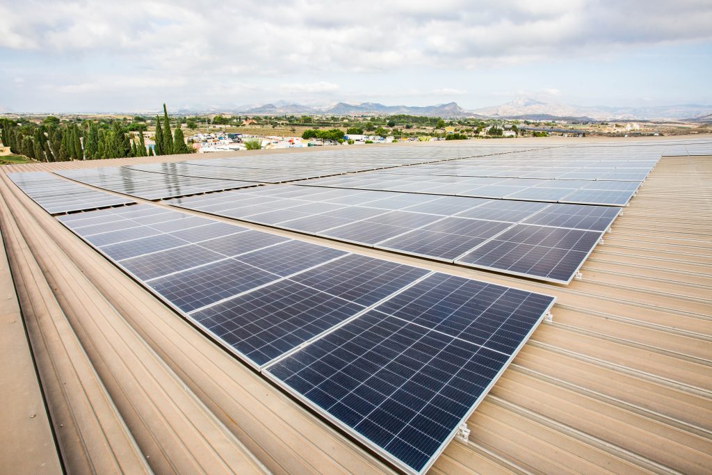 Paneles solares de la empresa alicantina hortofrutícola Bonnysa en su apuesta por el autoconsumo fotovoltaico