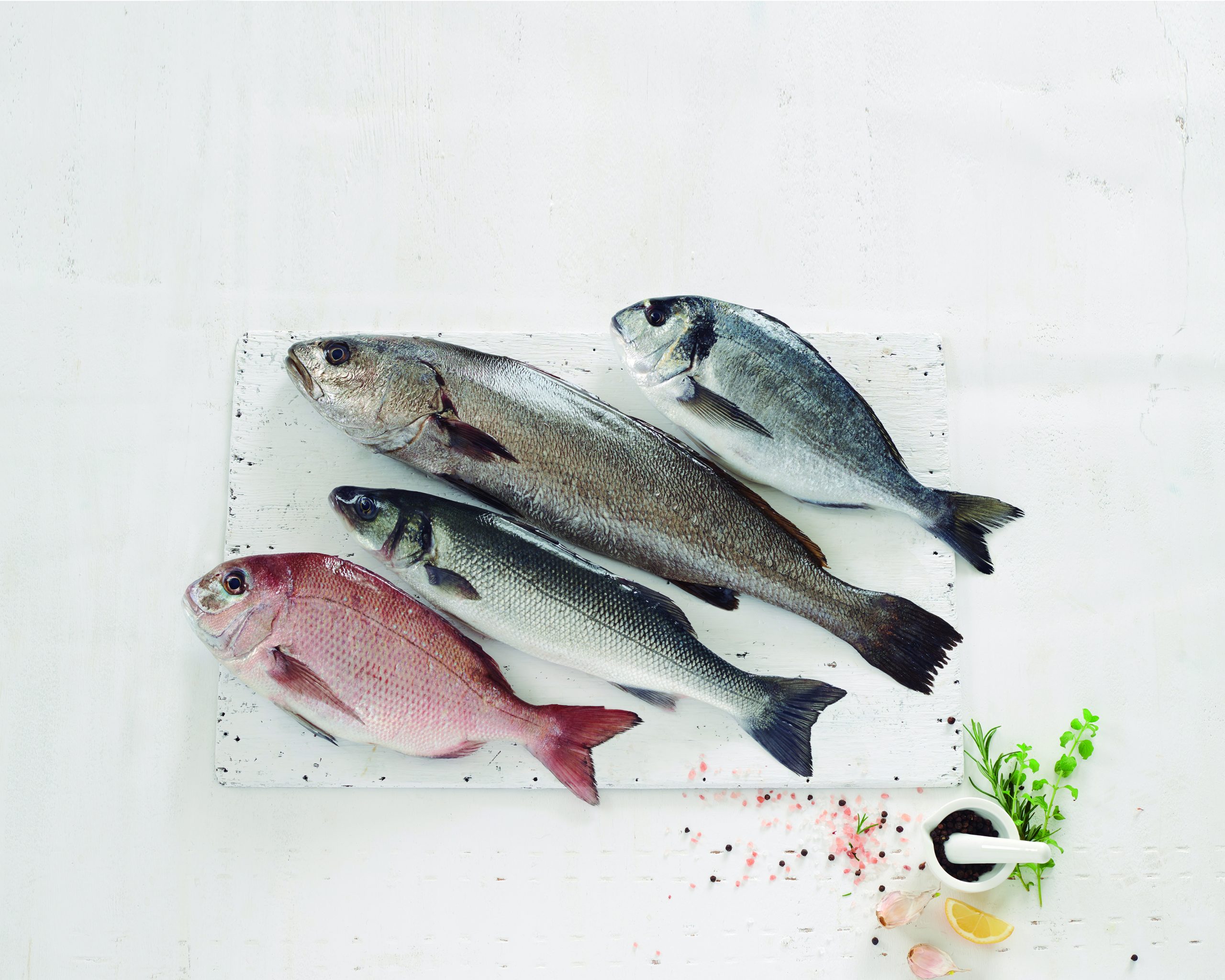 El grupo acuícola Avramar apuesta por la instalación de paneles solares